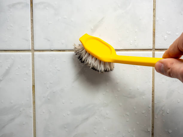 Best Best Mold Removal Companies  in Marbury, AL