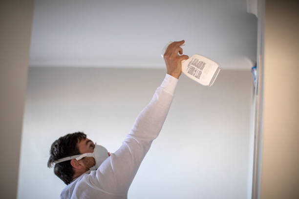 Attic Mold Removal in Marbury, AL