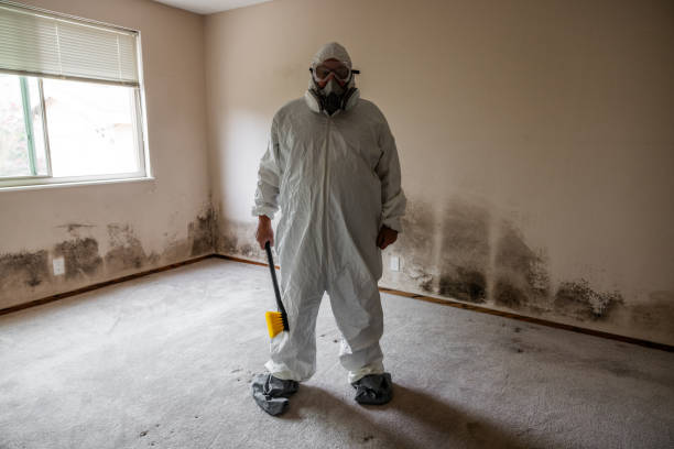 Best Residential Mold Removal  in Marbury, AL